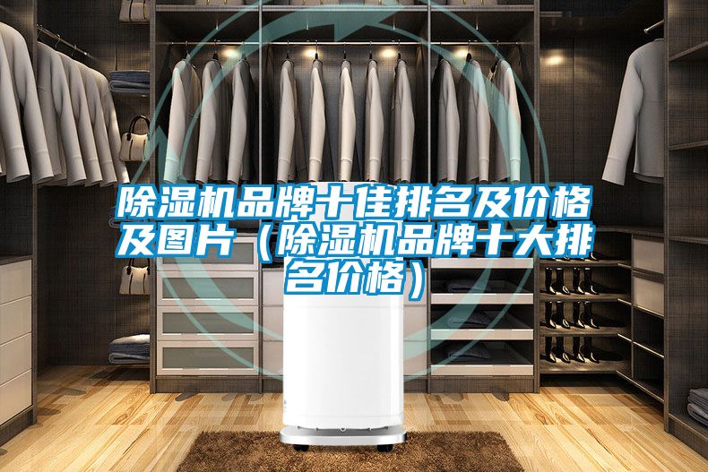 除濕機(jī)品牌十佳排名及價格及圖片(除濕機(jī)品牌十大排名價格)