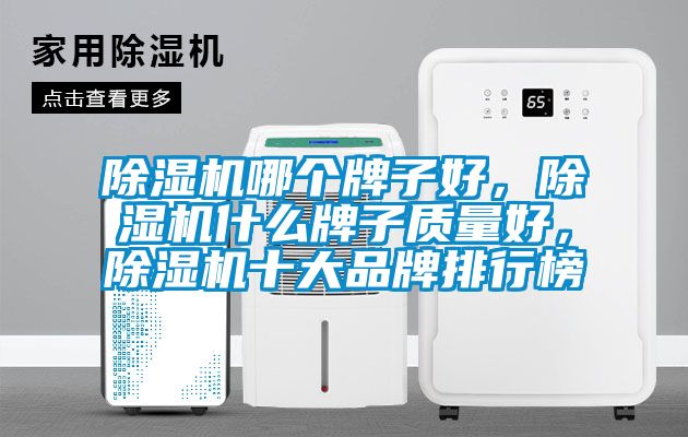 除濕機哪個牌子好,除濕機什么牌子質量好,除濕機十大品牌排行榜