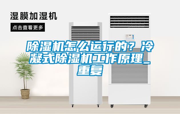 除濕機怎么運行的?冷凝式除濕機工作原理_重復(fù)