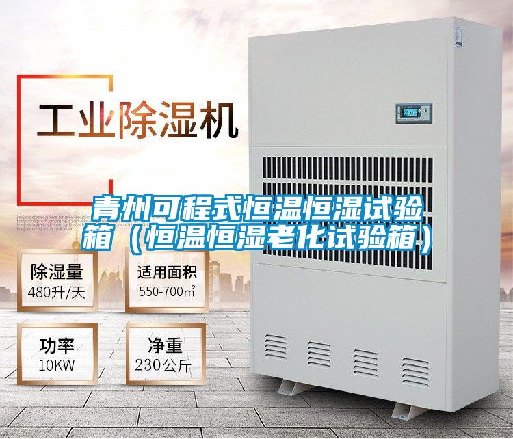 青州可程式恒溫恒濕試驗(yàn)箱(恒溫恒濕老化試驗(yàn)箱)