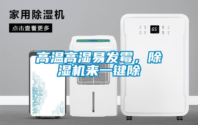 高溫高濕易發(fā)霉,除濕機(jī)來一鍵除