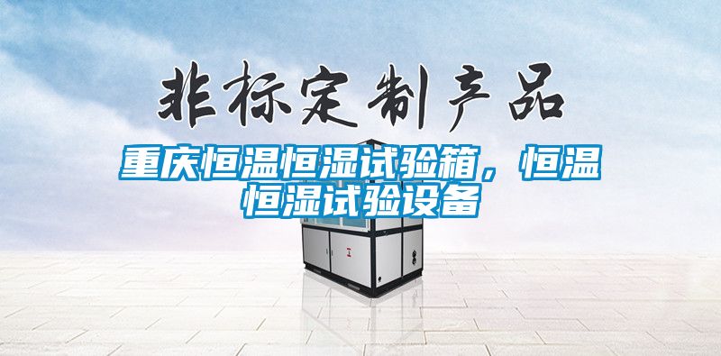 重慶恒溫恒濕試驗箱，恒溫恒濕試驗設備