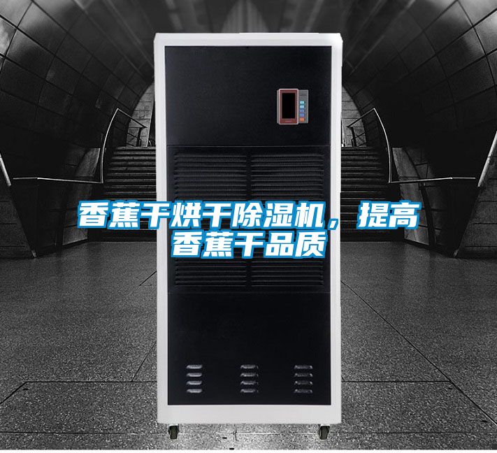 香蕉干烘干除濕機，提高香蕉干品質