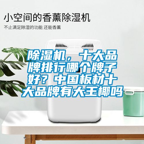除濕機(jī)，十大品牌排行哪個牌子好？中國板材十大品牌有大王椰嗎