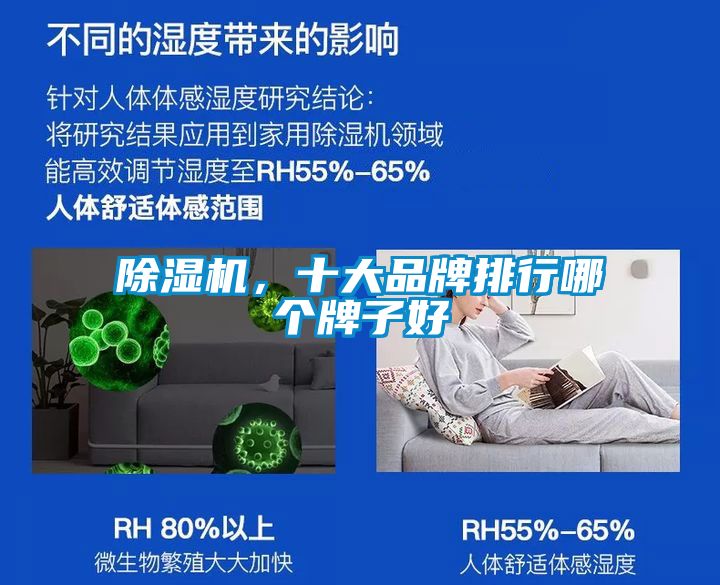 除濕機，十大品牌排行哪個牌子好